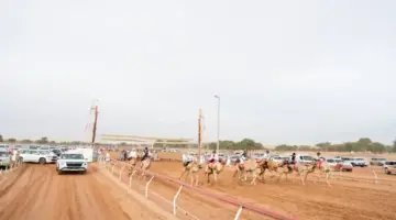 محمد بن سعود يحضر أشواط شارة الفطامين في رأس الخيمة